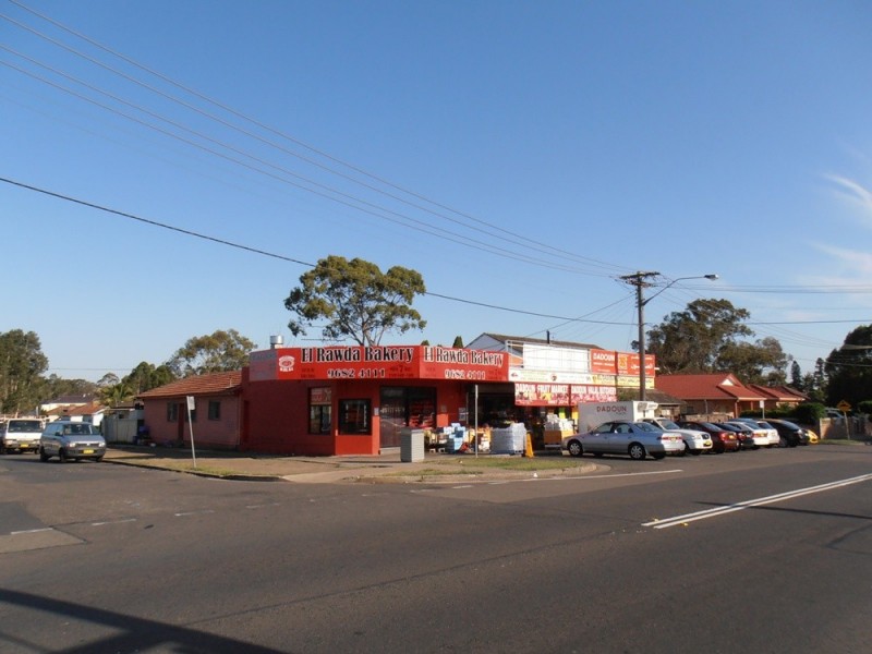 289 CLYDE STREET, South Granville NSW 2142
