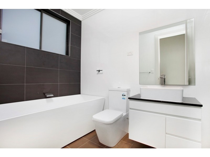 2b Meakin Crescent, Chester Hill NSW 2162