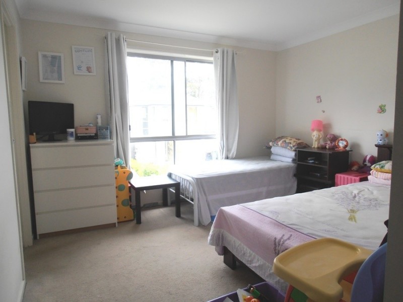 29 PALACE STREET, Auburn NSW 2144