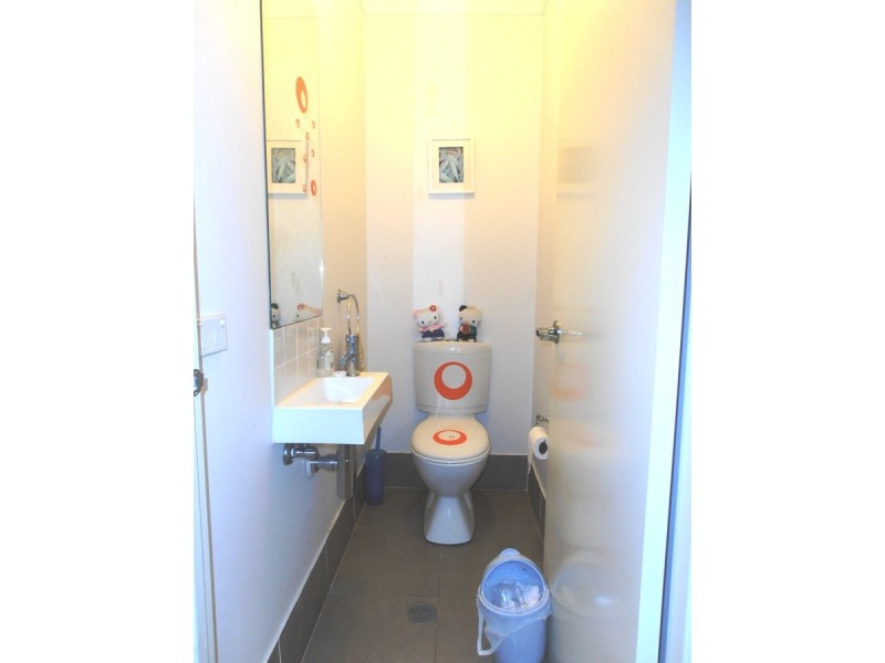 29 PALACE STREET, Auburn NSW 2144