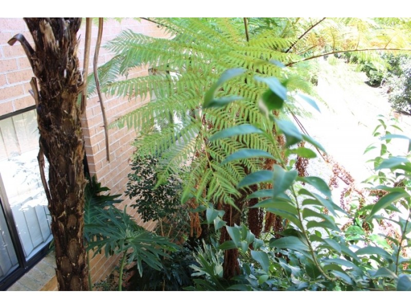 3/11-17 HEVINGTON RD, Auburn NSW 2144