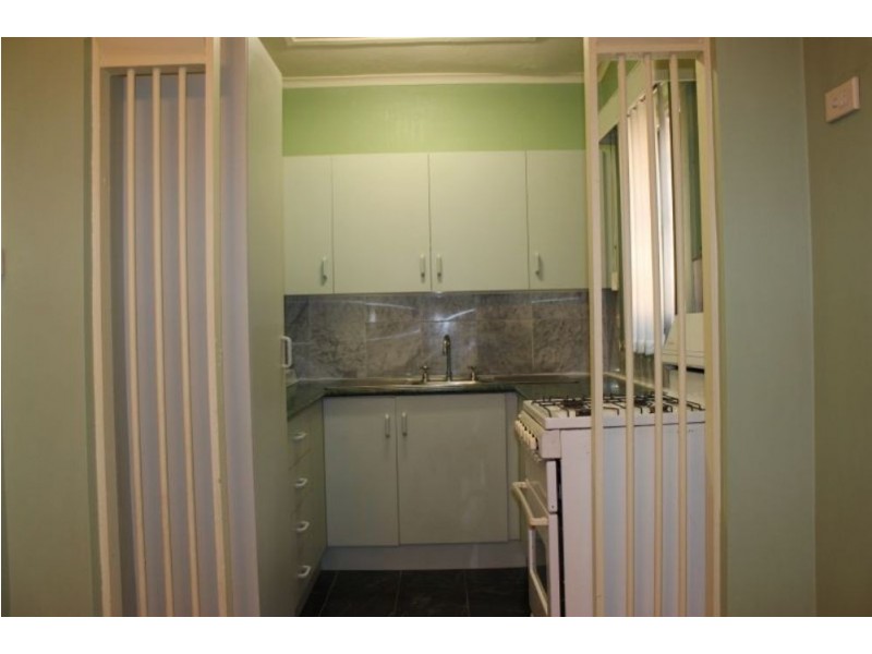 117 Mona Street, Auburn NSW 2144