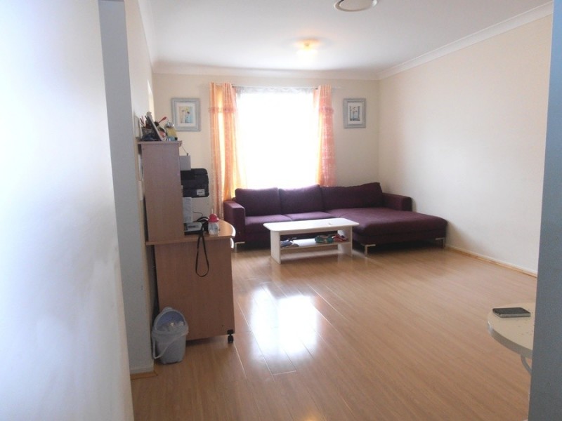 29 PALACE STREET, Auburn NSW 2144