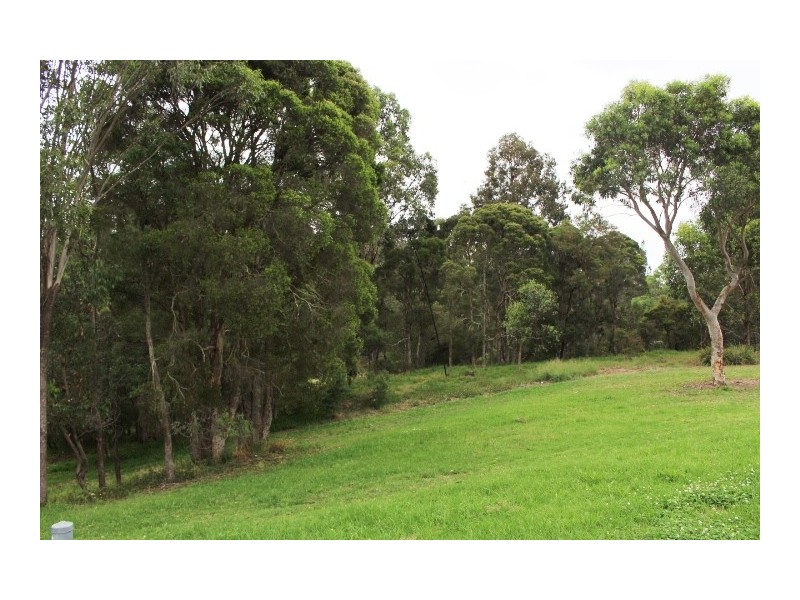 29 NAMUR STREET, South Granville NSW 2142