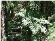 Bowral NSW 2576