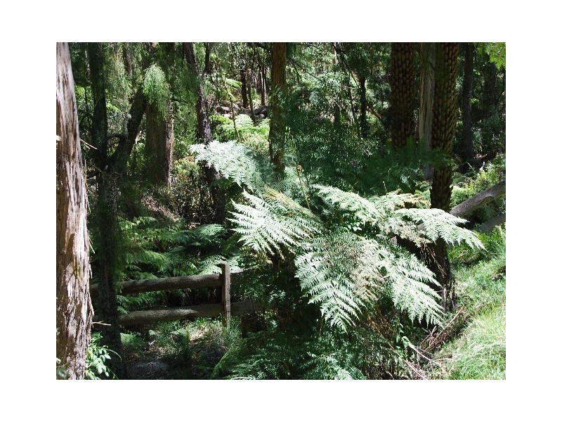 Bowral NSW 2576