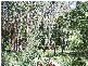 Bowral NSW 2576