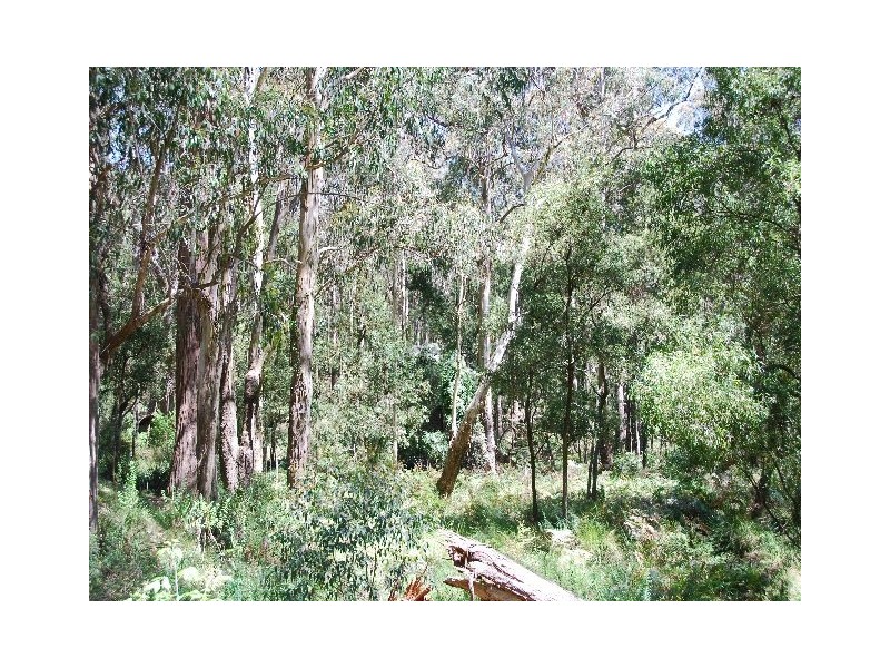 Bowral NSW 2576