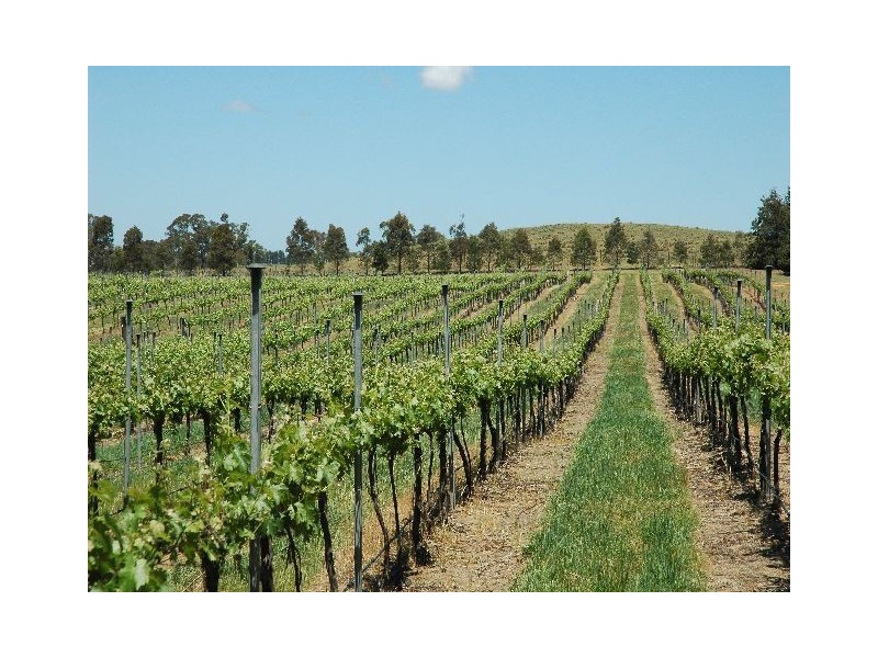 Sutton Forest NSW 2577