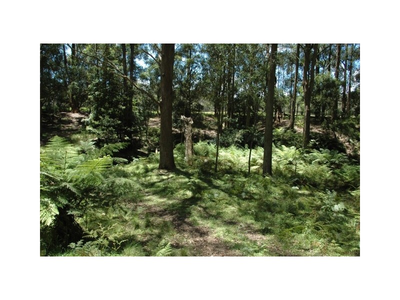 East Kangaloon NSW 2576