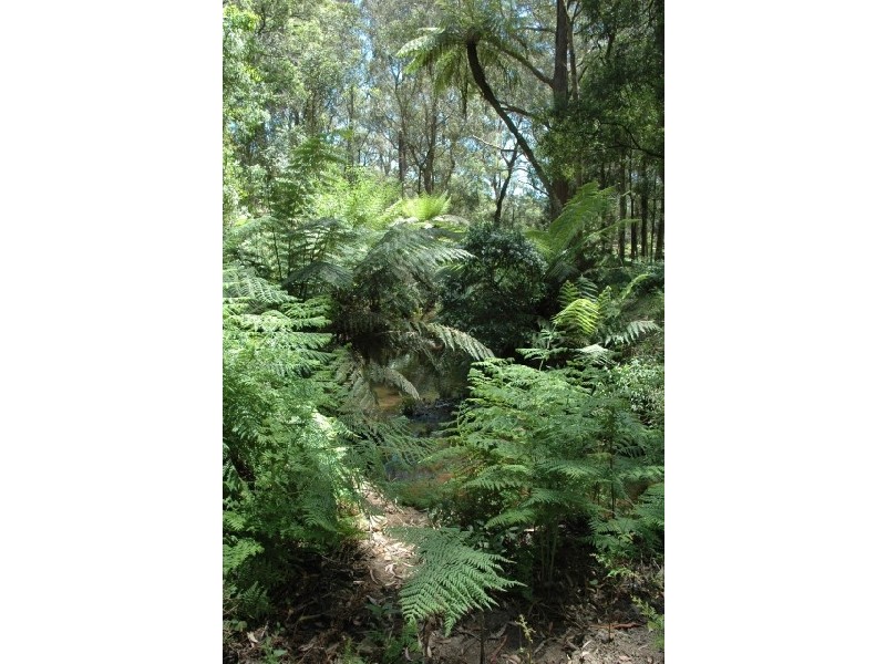 East Kangaloon NSW 2576