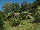 Burrawang NSW 2577
