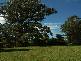 Burrawang NSW 2577