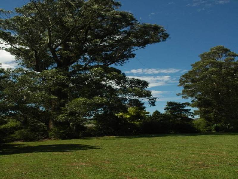 Burrawang NSW 2577