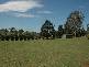 Burrawang NSW 2577