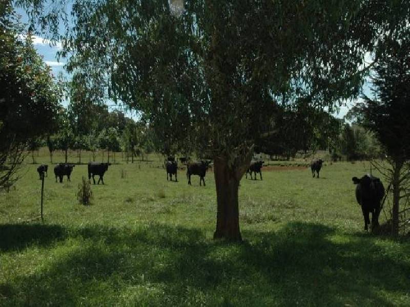 Burrawang NSW 2577