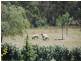 Bowral NSW 2576