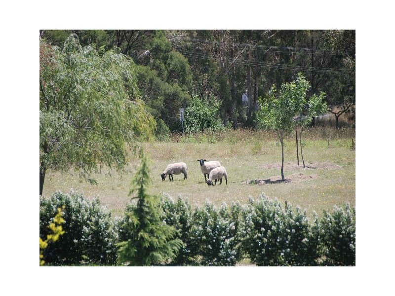 Bowral NSW 2576