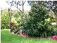 Bowral NSW 2576