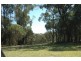 Robertson NSW 2577