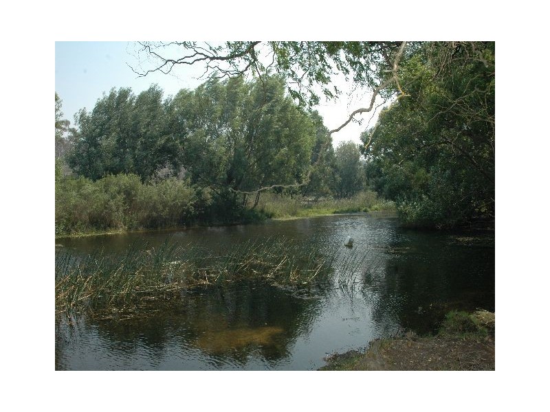 Paddys River NSW 2577