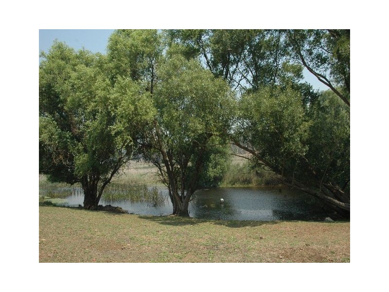Paddys River NSW 2577