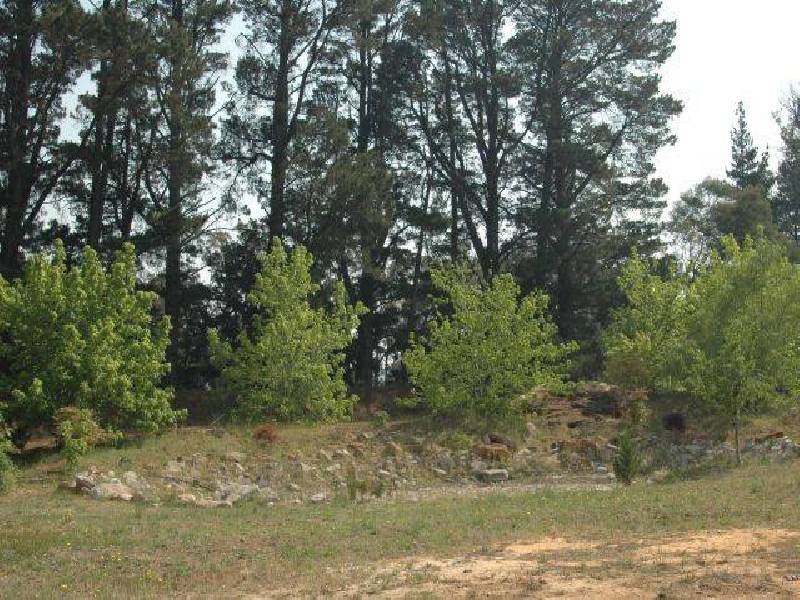 Penrose NSW 2579