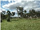 Berrima NSW 2577