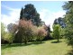 14 Holly Road, Burradoo NSW 2576