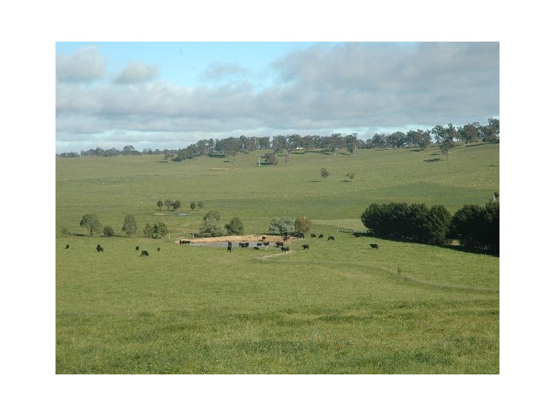 Sutton Forest NSW 2577