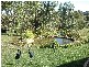 Burradoo NSW 2576