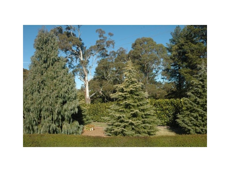 Bowral NSW 2576