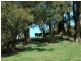 Kangaloon NSW 2576