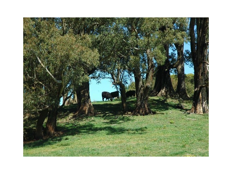 Kangaloon NSW 2576