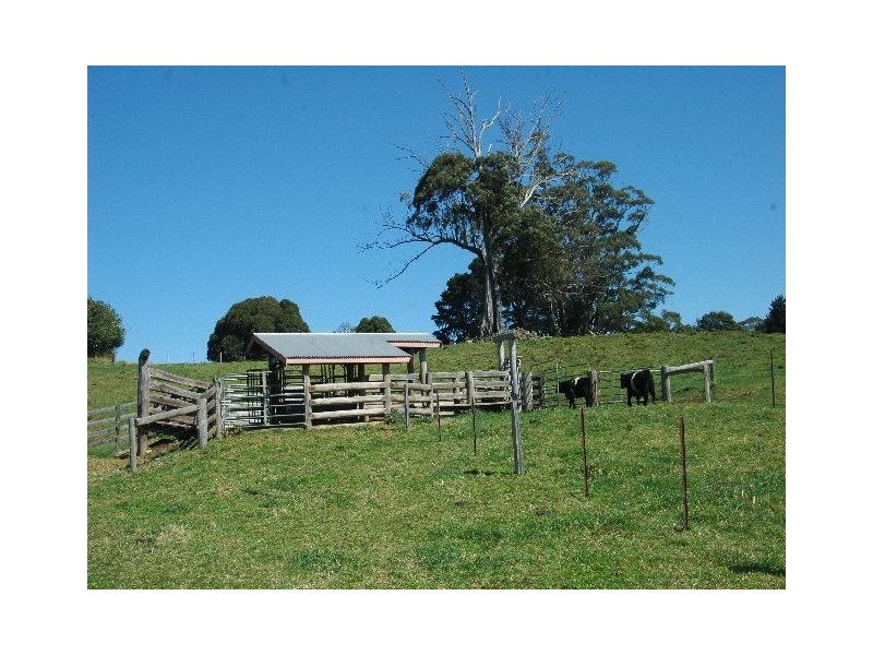 Kangaloon NSW 2576