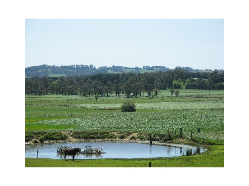 Lot 4 “Biloela” Walkers Road, Avoca NSW 2577