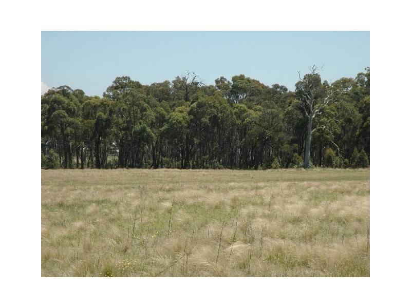 2923 Wombeyan Caves Road, High Range NSW 2575