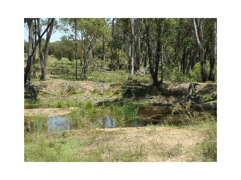 2923 Wombeyan Caves Road, High Range NSW 2575