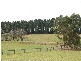 Berrima NSW 2577