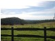 Tallong NSW 2579