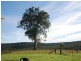 Tallong NSW 2579
