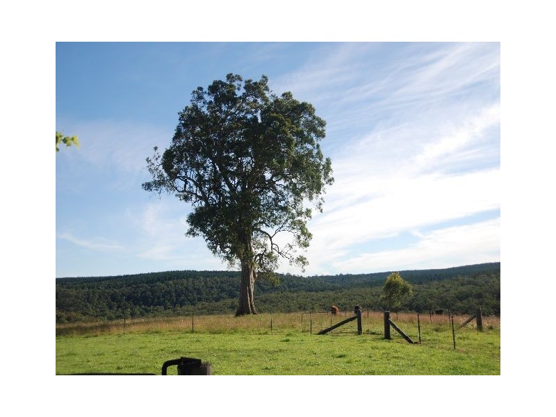 Tallong NSW 2579