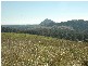 Lot 8 Soapy Flat Road, High Range NSW 2575