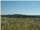 Lot 8 Soapy Flat Road, High Range NSW 2575