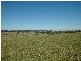 Lot 8 Soapy Flat Road, High Range NSW 2575