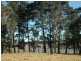Kangaloon NSW 2576