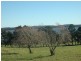 Kangaloon NSW 2576