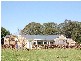 Kangaloon NSW 2576