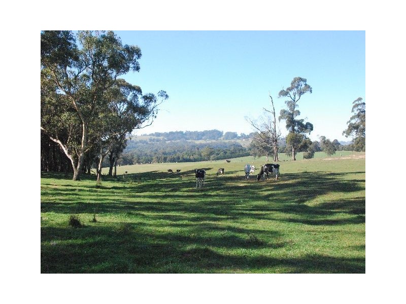 Kangaloon NSW 2576