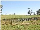 Kangaloon NSW 2576